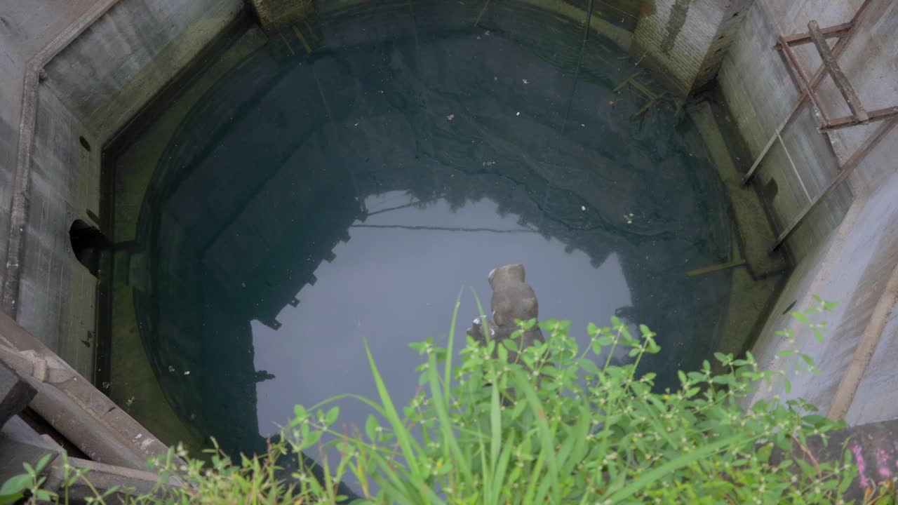 beautiful Baramotichi Vihir limb satara closup view