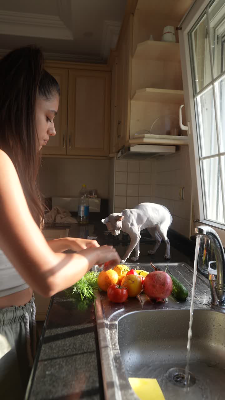 Mulher preparando frutas e legumes em uma cozinha com um gato
