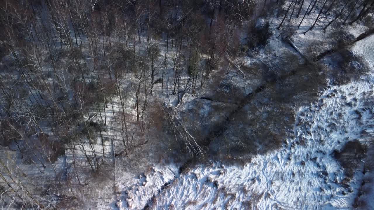 drone flyover desolado bosque durante el frío invierno, landin cubierto de nieve en alemania, europa