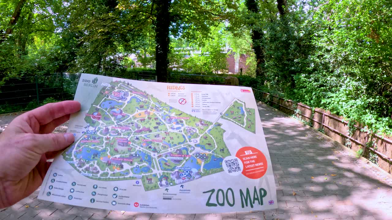 Individual walks along a shaded zoo pathway in Berlin, holding and consulting a colorful map. Bright daylight, steady forward camera movement, lush greenery surrounds