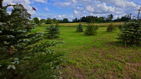 shot of a latvia flag waving during daytime in a field