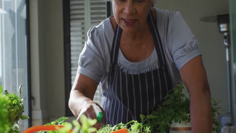 mujer mayor afroamericana con delantal sonriendo mientras rocía agua en las plantas en casa