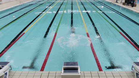 A-sportman-jumping-in-a-olympian-swimming-pool