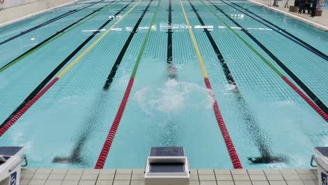 a sportman jumping in a olympian swimming pool