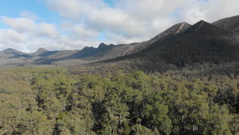 Aerial-shot-slowly-rising-up-and-looking-across-Australian-eucalyptus-forest-and-the-great-diving-range