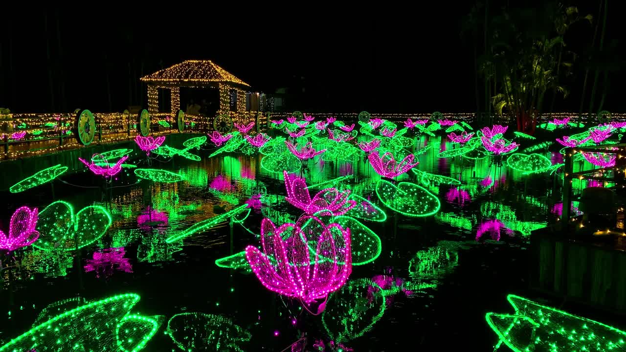 4khd navidad 2020 jardín botánico okinawa japón-17