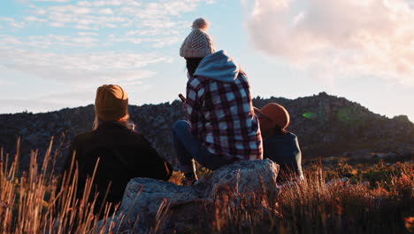 group of friends drinking together making toast hanging out in beautiful countryside enjoying sunset rear view