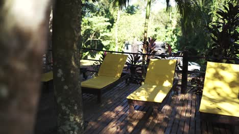 general shot of vacation hotel wooden terrace with yellow resting lounge chairs and trees in the background