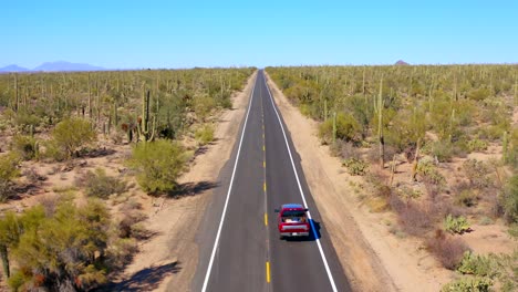 4k aerial of desert landscape with cacti at saguaro national park, by tucson, arizona, usa