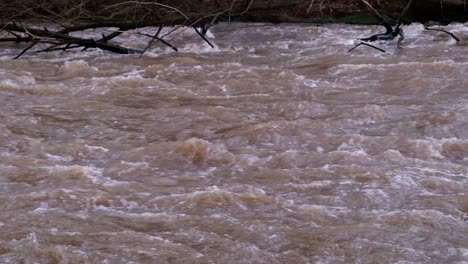 zoomed in super slow motion of a brown fast flowing powerfull river with broken fallen trees