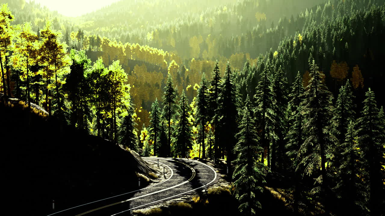 Sunlight filters through trees along winding railway tracks in serene forest