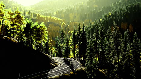 sunlight filters through trees along winding railway tracks in serene forest