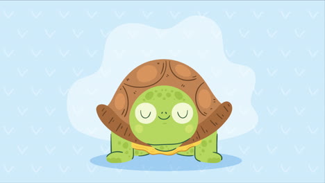 animación de personajes delanteros de tortugas lindas