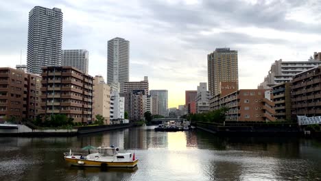 在東京的美麗景色