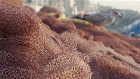 Fishing-net-with-seagull-in-the-background-on-the-docks-in-Porto,-Portugal