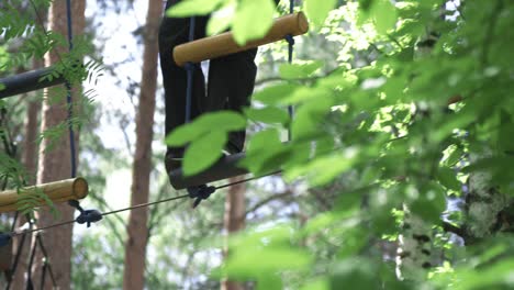 person walking on treetop adventure course