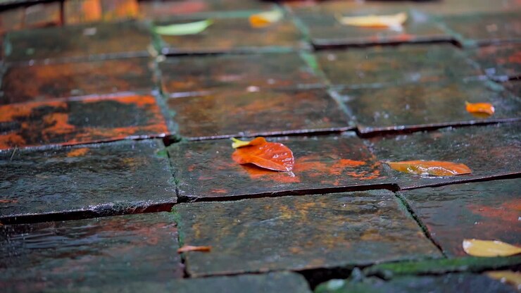 close-up, large, heavy drops of rain, rainfall, shower, fall with a spray, Water splashes, on the wet surface of leaves, the surface of water
