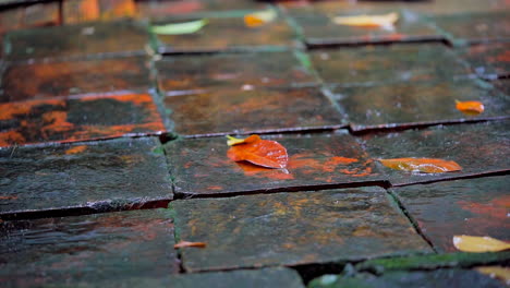 Primer-Plano,-Gotas-Grandes-Y-Pesadas-De-Lluvia,-Lluvia,-Ducha,-Caída-Con-Un-Rociador,-Salpicaduras-De-Agua,-En-La-Superficie-Húmeda-De-Las-Hojas,-La-Superficie-Del-Agua