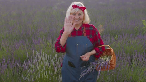 Senior-woman-grandmother-farmer-growing-gardening-lavender-plant-in-herb-garden,-waving-hands-hello