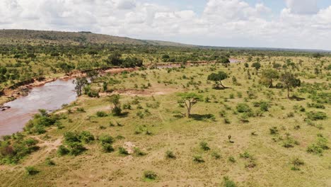 aerial drone shot of acacia trees and masai mara river landscape in africa, beautiful green lush scenery in kenya in maasai mara national reserve