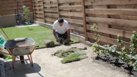 gardener laying a roll of natural lawn turf