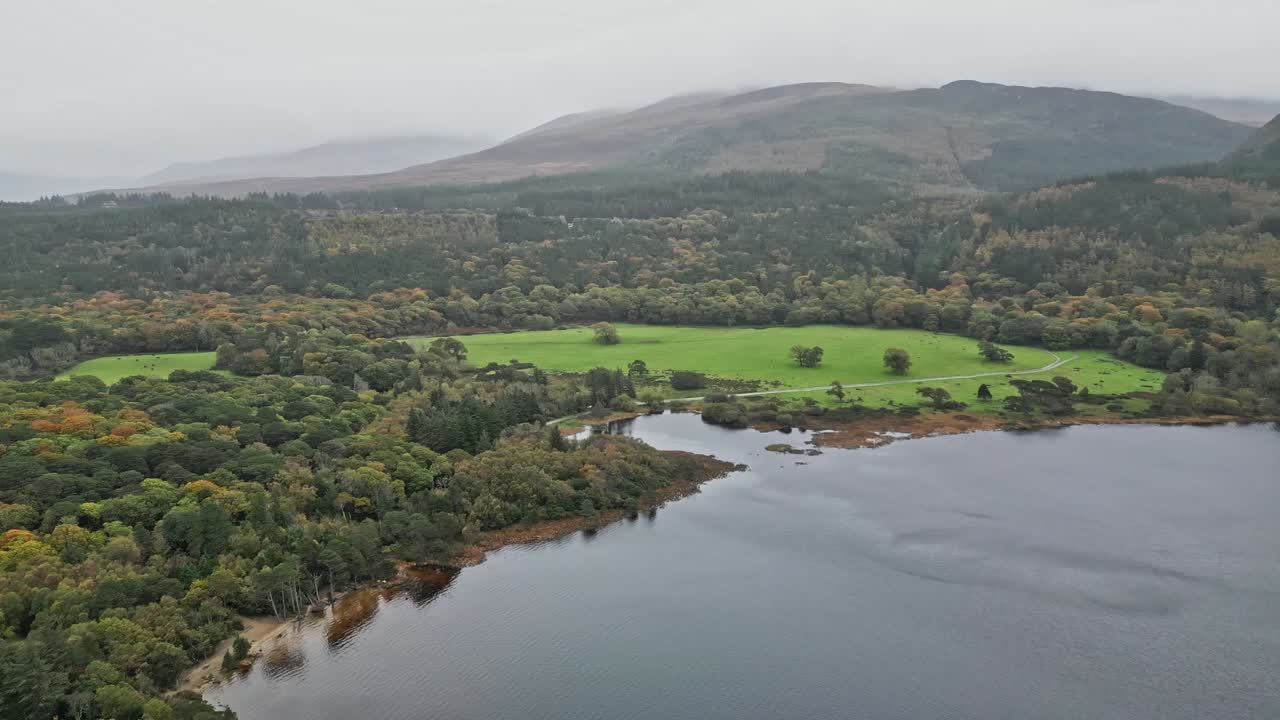 Idyllic Nature Scenery In Muckross House In Killarney National Park, County Kerry In Ireland. Aerial Drone Shot