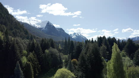 aerial - forest and andes mountains near bariloche, rio negro, argentina, forward reveal