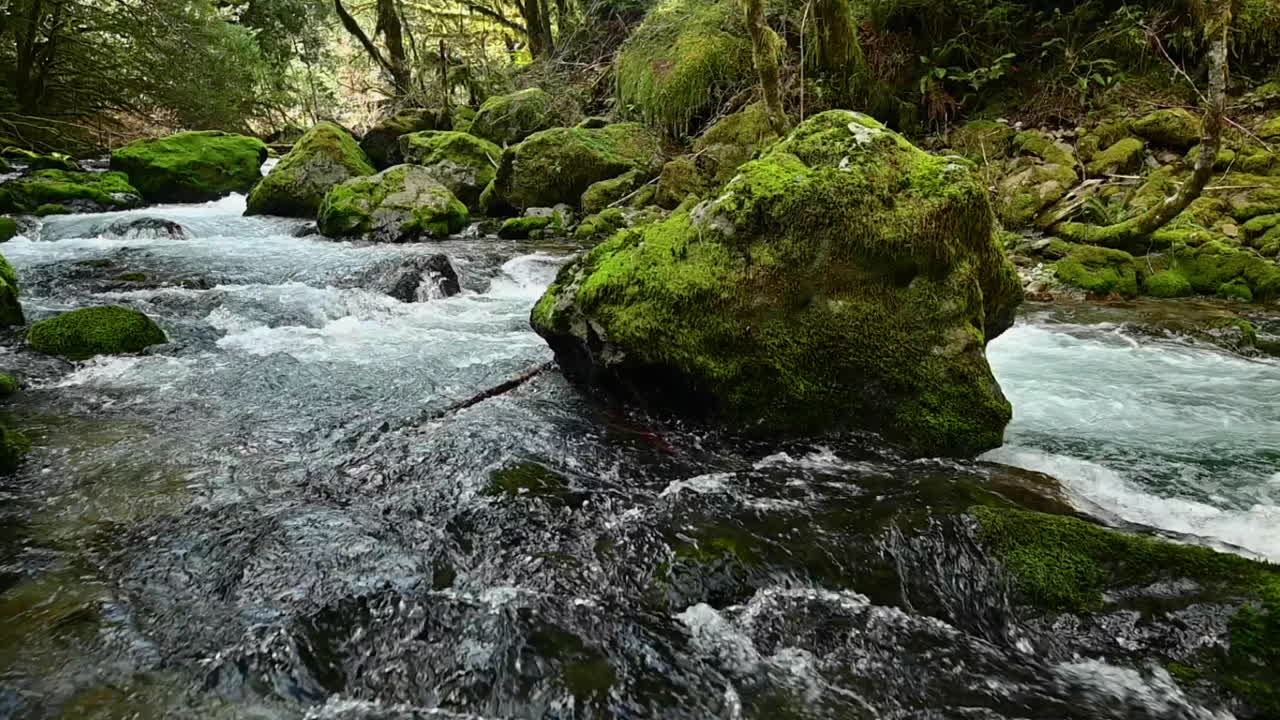 Big rock covered with moss in Elk River