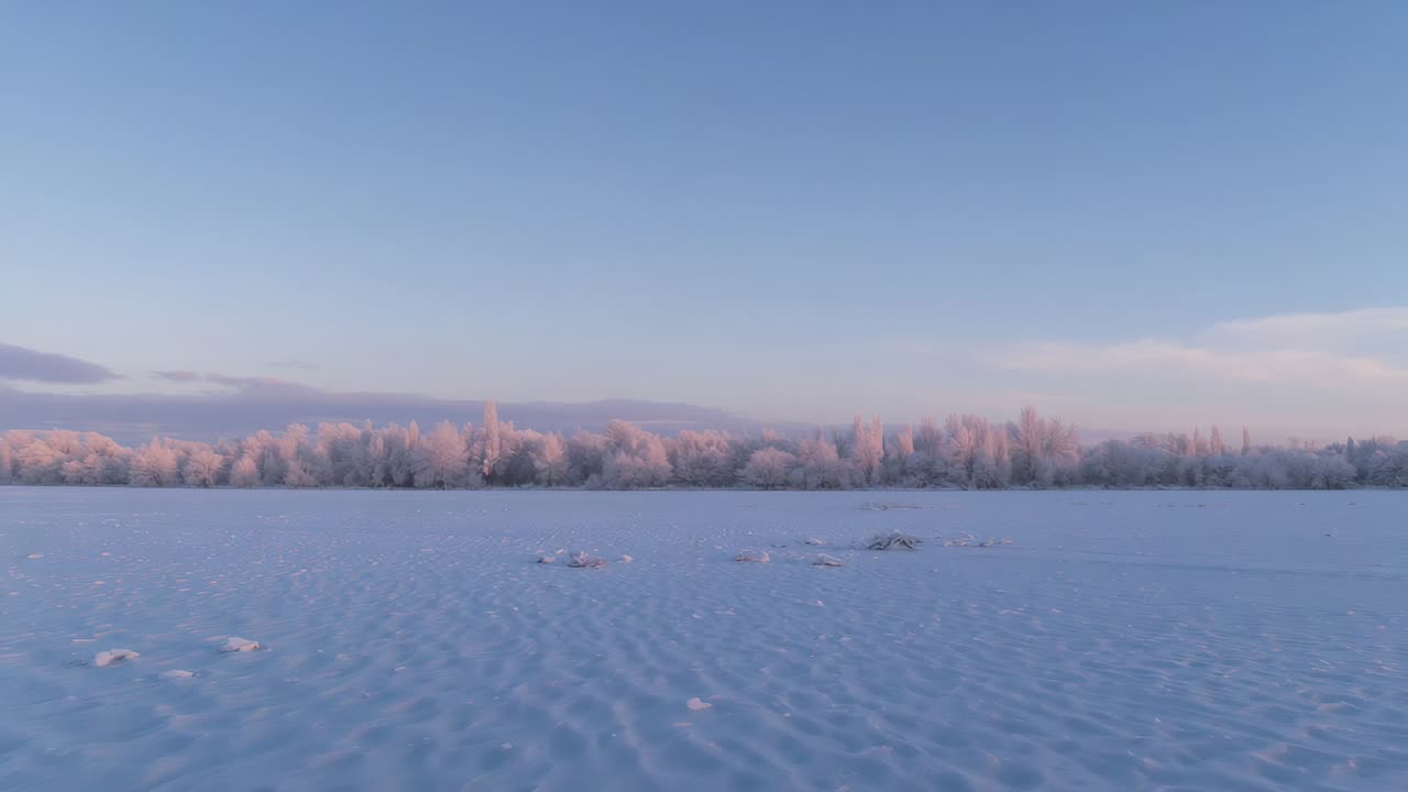 Low-angle sunlight warming frosted treeline and snow plain, lighting snow mounds under clear sky