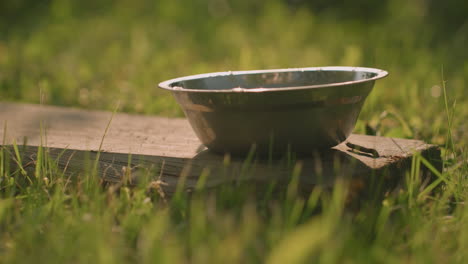 cuenco metálico colocado en madera en un campo cubierto de hierba con luz solar que proyecta sombras suaves, creando una atmósfera tranquila y rústica, el movimiento sutil de la sombra se refleja en la madera