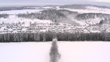 Cuento-De-Hadas-De-Invierno---Vuelo-Con-Un-Dron-Sobre-Una-Hilera-De-árboles-Para-Descubrir-Una-Parte-Cubierta-De-Nieve-De-Una-Ciudad-Con-Coches-De-Conducción-A-Través-Del-Paisaje-Blanco