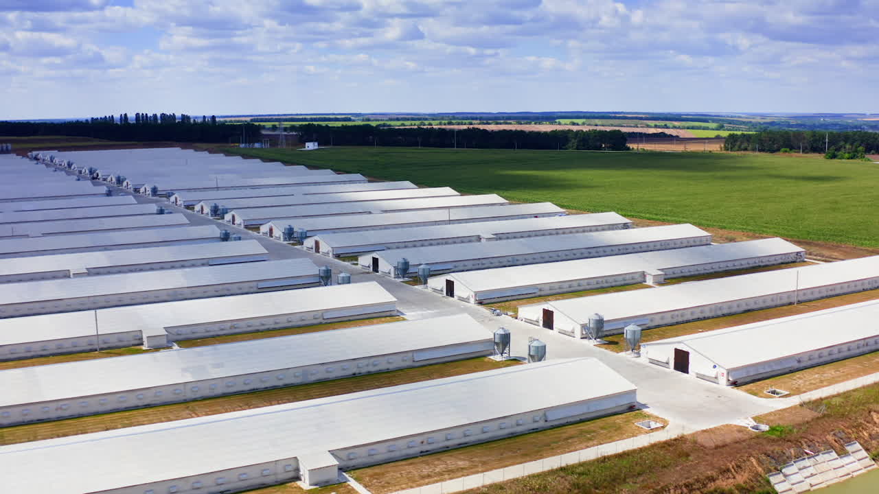 Aerial view of industrial poultry house in the country. Modern Factory Exterior.