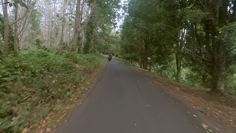 riding a motorbike on a small road through a forest