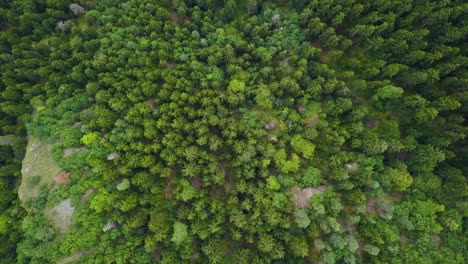 El-Parque-Nacional-Borjomi-kharagauli-Es-Un-área-Protegida-En-Georgia-Central,-En-Samtskhe-javakheti-Situada-En-El-Cáucaso-Menor,-Al-Suroeste-De-La-Capital-De-La-Nación-De-Tbilisi