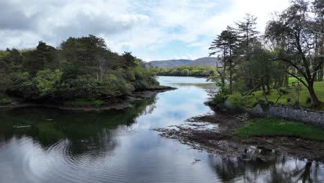 West-Cork-Beara-Peninsula-a-little-creek-with-fish-jumping-and-groves-of-trees-leading-out-to-the-seashore-on-a-warm-summer-morning-slow-drone-movement