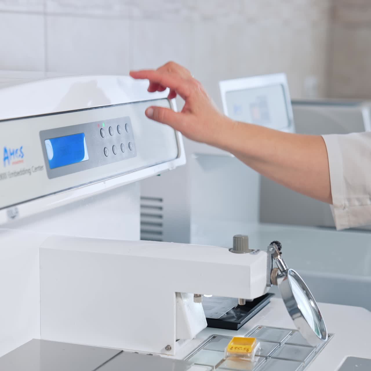 Technician holding samples in laboratory. Young lab assistant testing samples in hospital