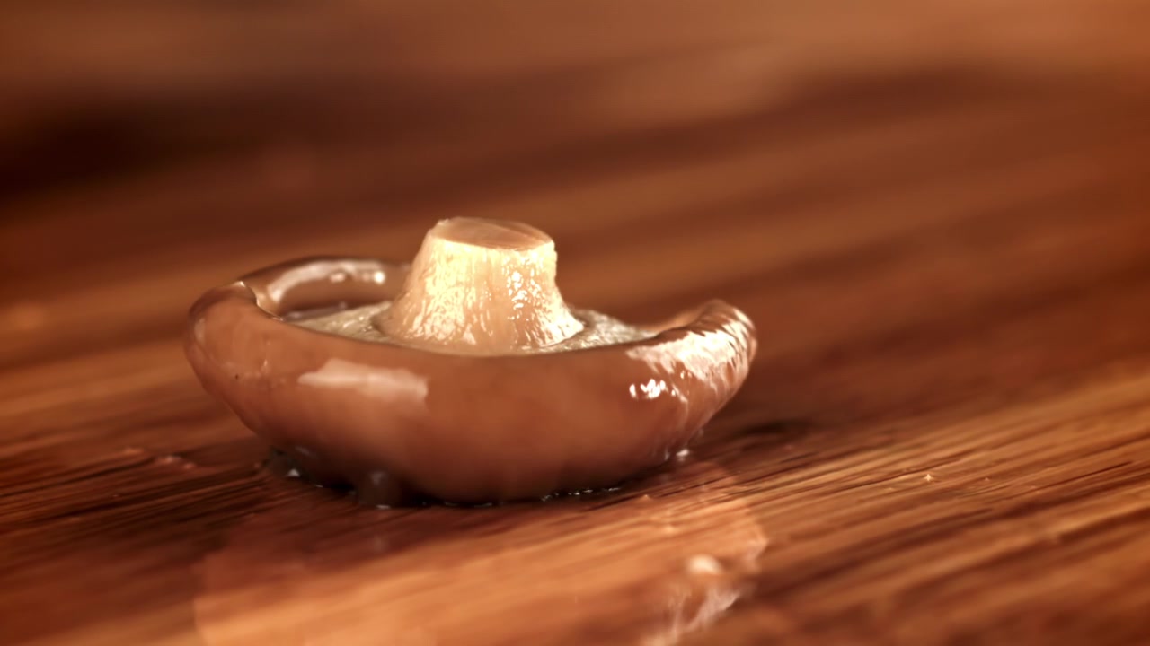 Shiitake-sopp som faller og rehydreres på en treoverflate