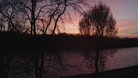 aerial drone flying through silhouette trees with amsterdam rhine canal during golden yellow orange sunset in background