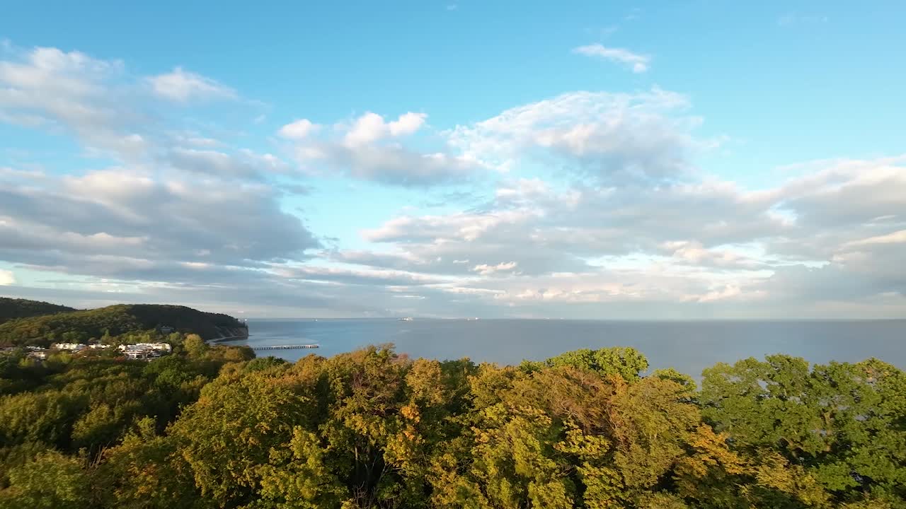울창한 숲과 발트해 상공의 공중 전진 비행