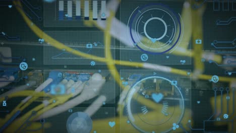 animación de redes, ámbitos y procesamiento de datos a través de un servidor informático.