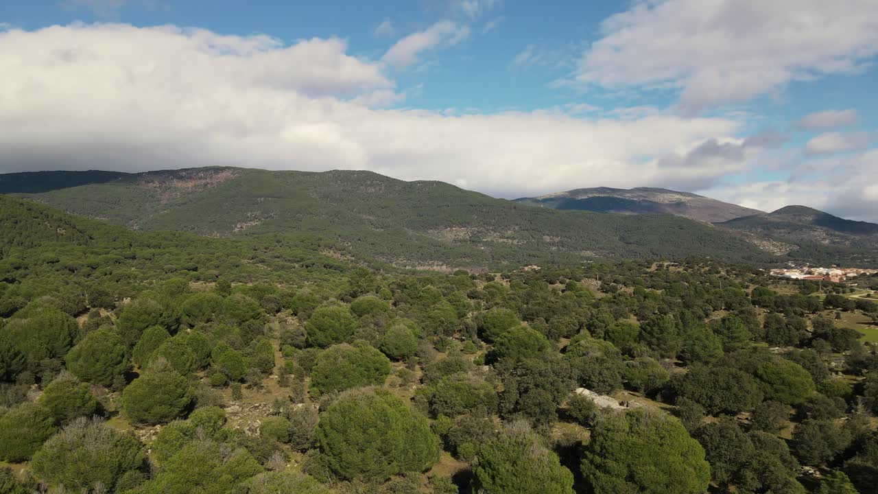 Landscape with Mountains and Forest