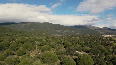 landscape with mountains and forest