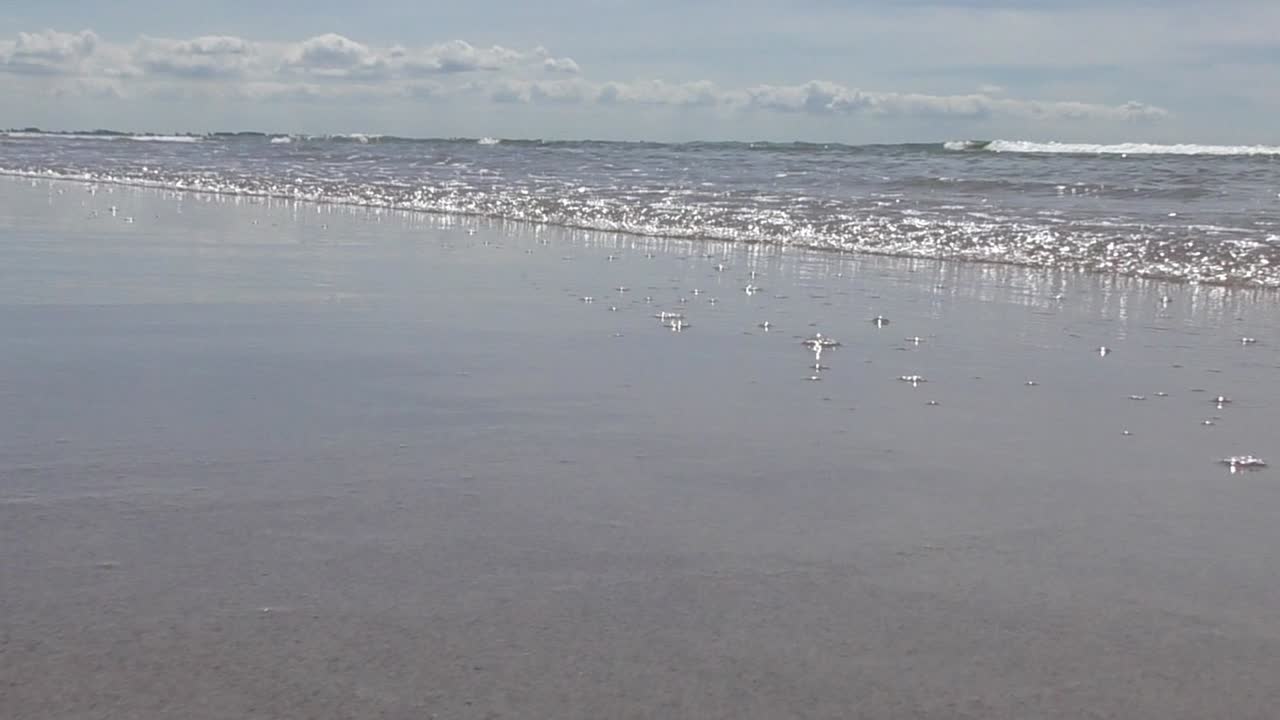 해변에서 작은 굴러가는 파도. 꾸준한 샷