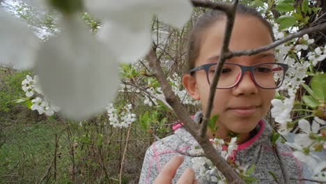 a little girl portrait against the background of a flowering cherry tree