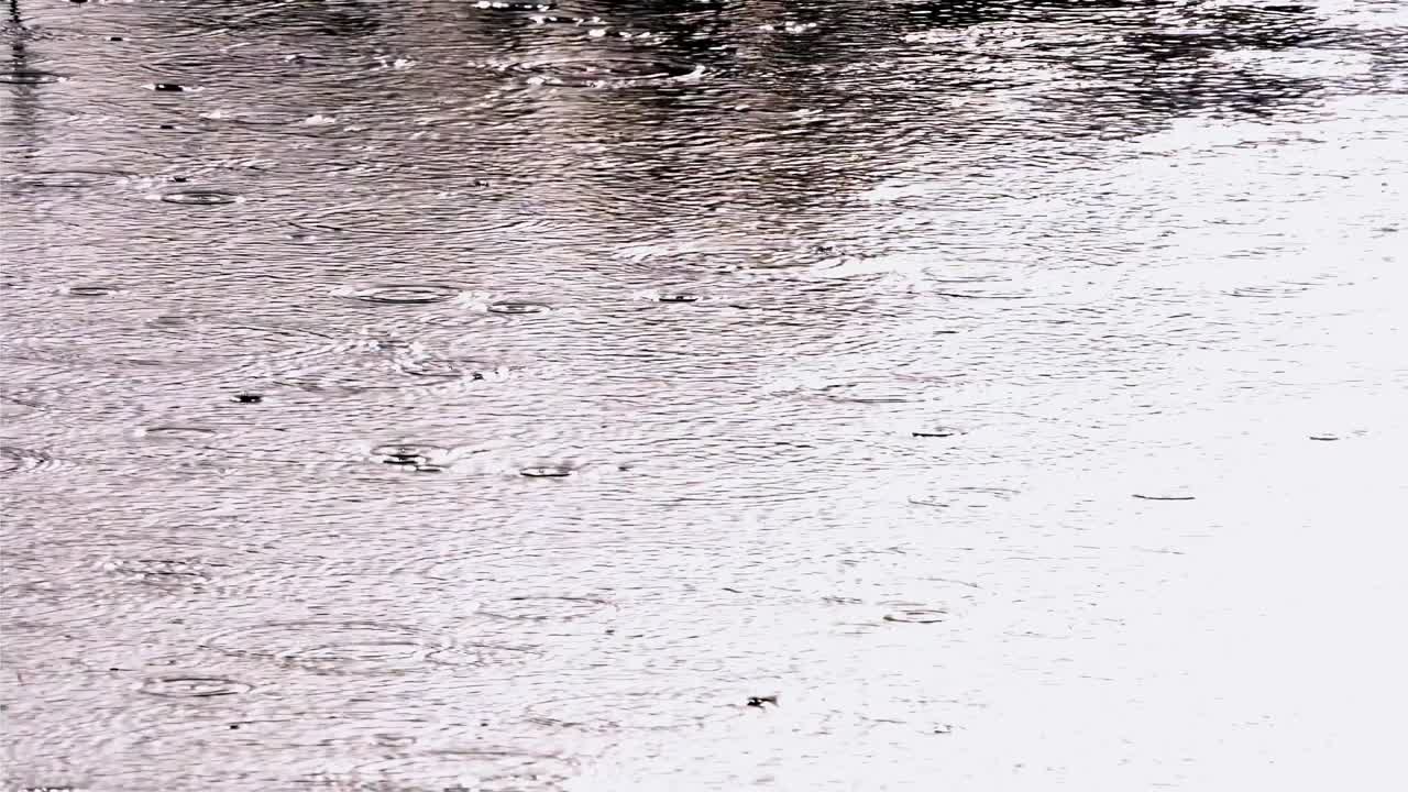 Raindrops hitting the water surface of a lake during a downpour, monochromatic impression