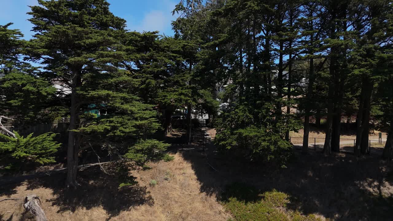 Aerial ascent from Excelsior in San Francisco reveals residential houses, tree-lined streets, and surrounding city terrain, perfect for Bay Area urban and community footage