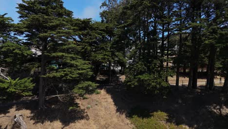 aerial ascent from excelsior in san francisco reveals residential houses, tree-lined streets, and surrounding city terrain, perfect for bay area urban and community footage