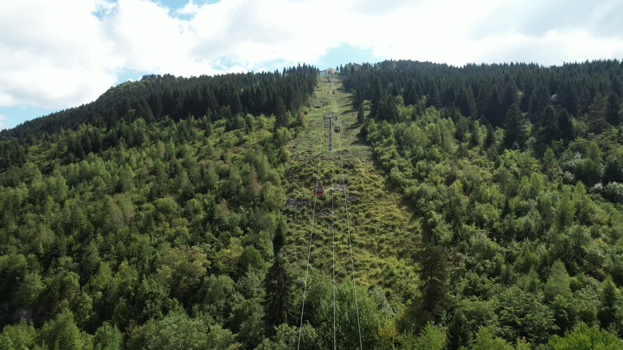 el teleférico en el bosque verde
