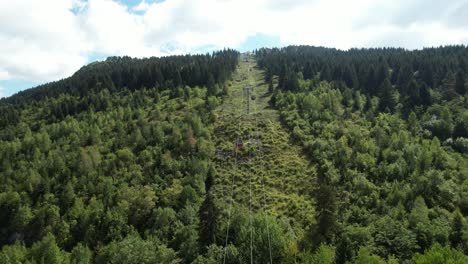 cable car in the green forest