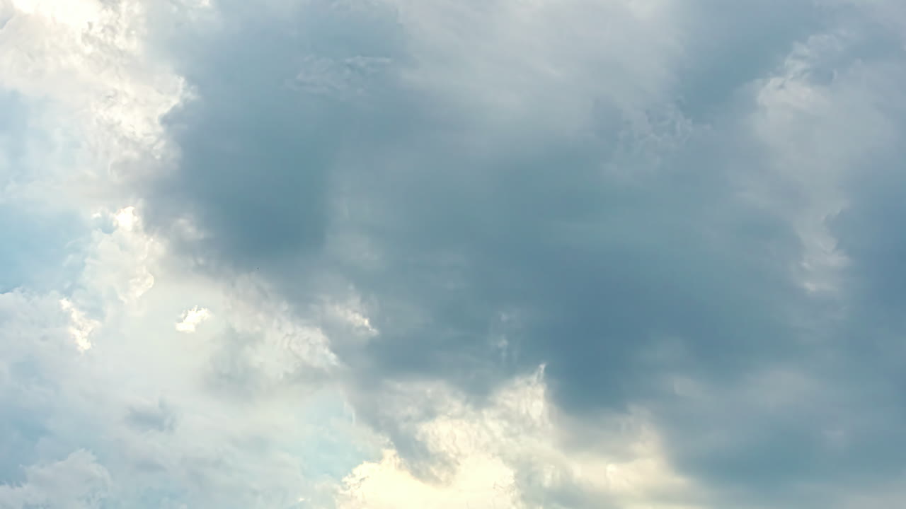 ⁇ 빛의 빛과 함께 밝은 극적인 하늘에서 바람의  ⁇ 어리의 낮은 각도  ⁇